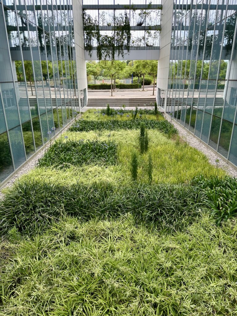 Paisaje Verde