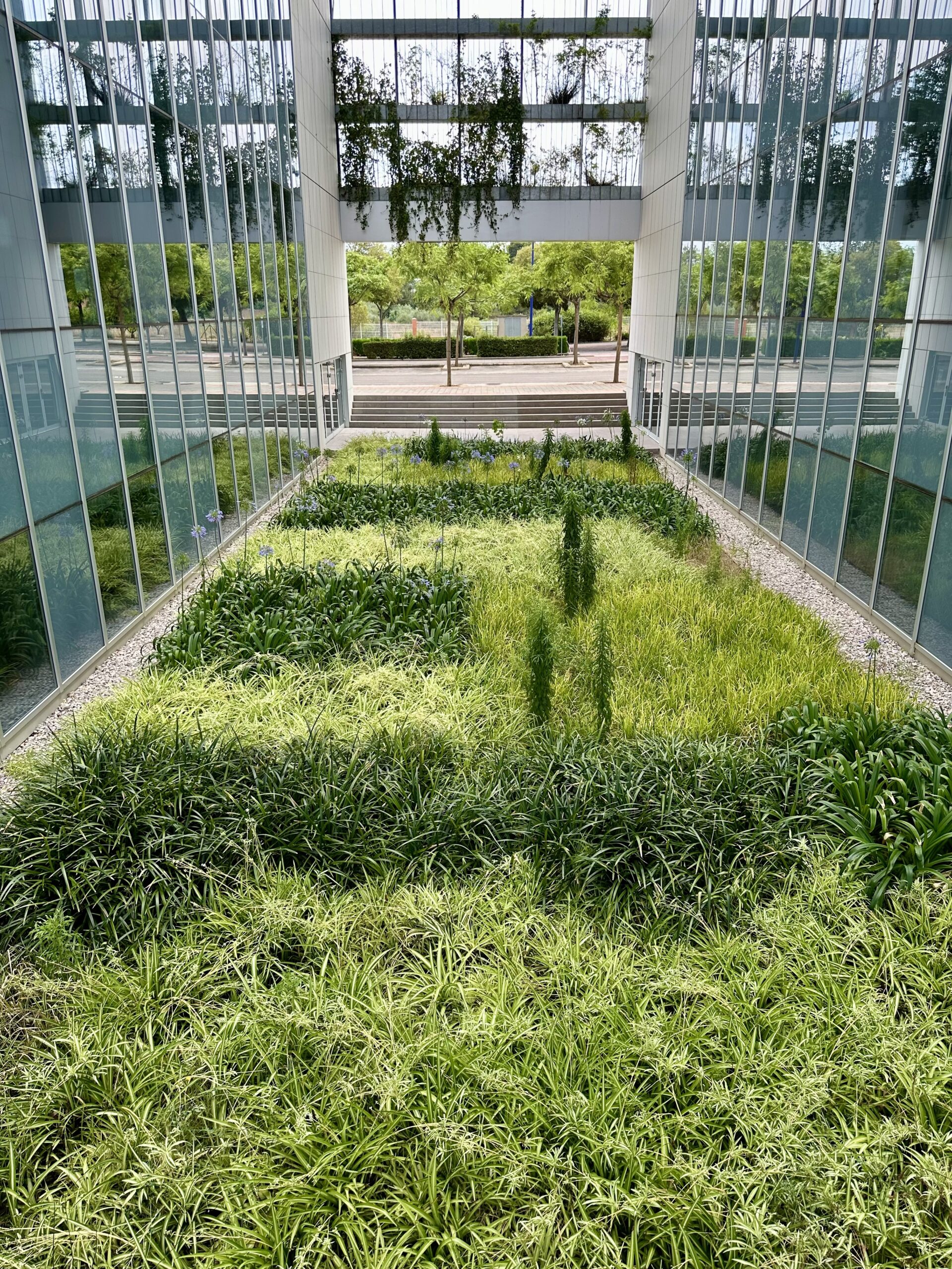 Paisaje Verde